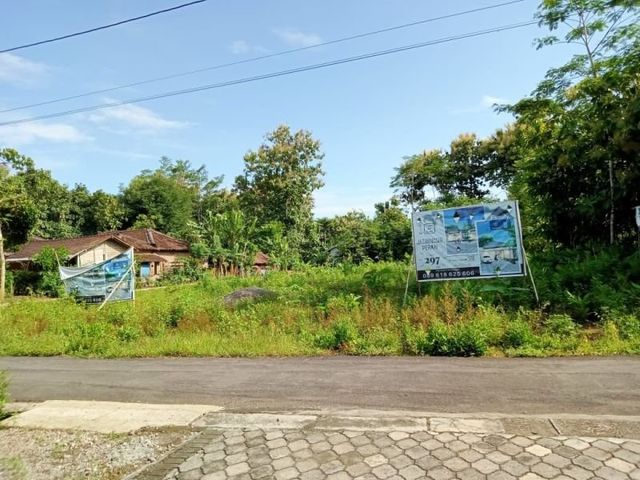 place photo 7