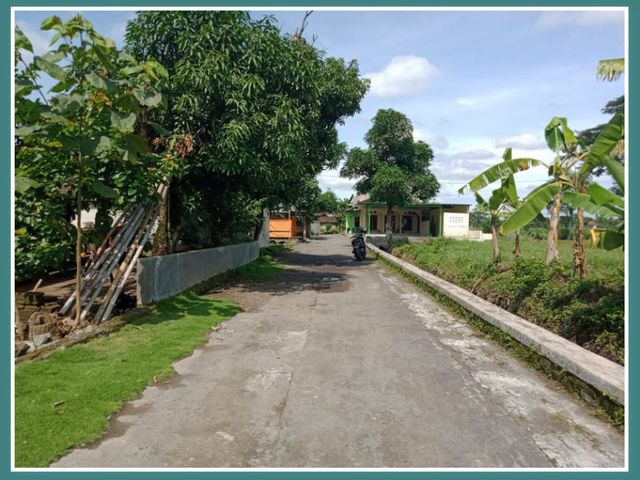 place photo 2