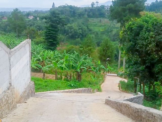 place photo 266