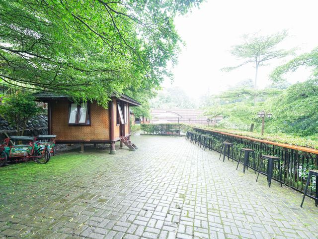 place photo 258