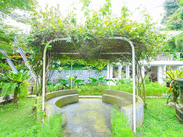 place photo 41