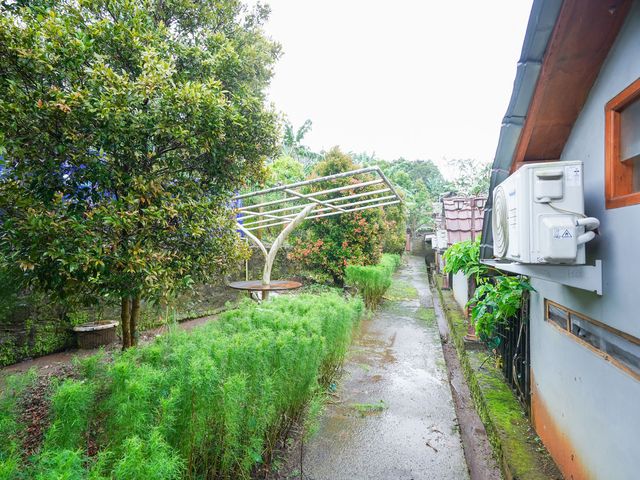 place photo 251