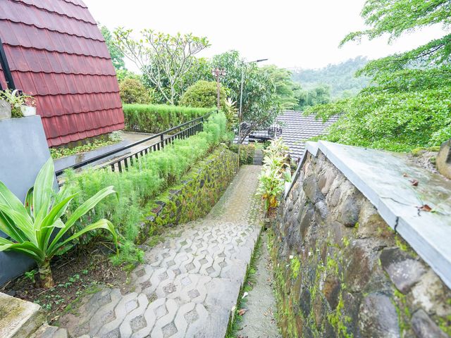 place photo 265