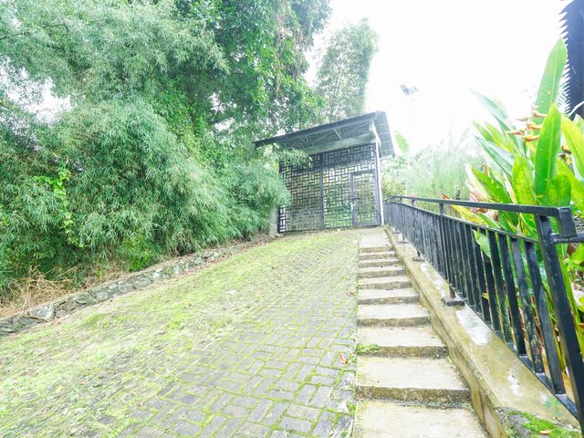 place photo 260