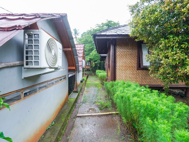 place photo 252