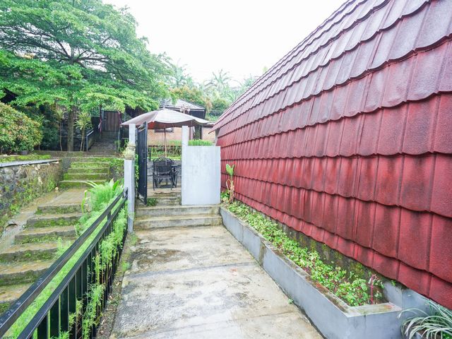 place photo 244
