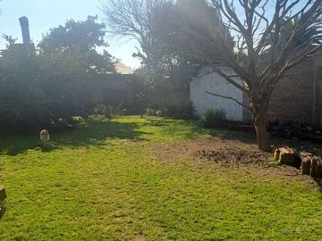 place photo 47