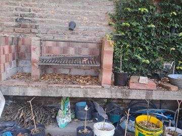 place photo 46