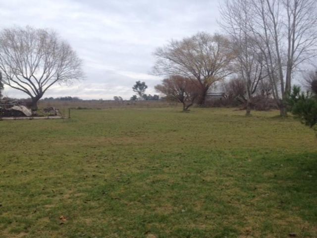 place photo 13