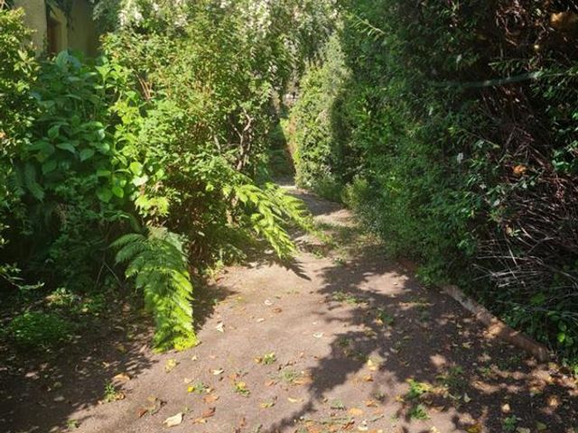 place photo 28