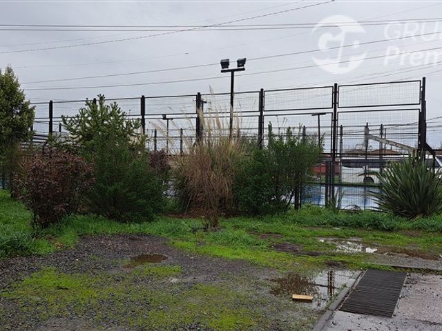 place photo 21