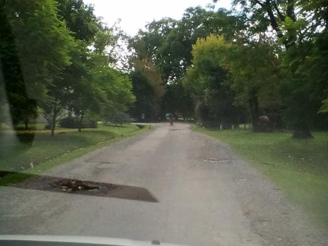 place photo 23