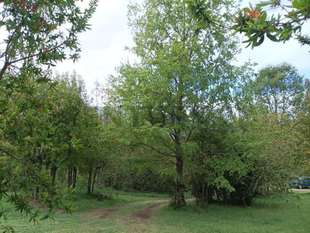 place photo 25