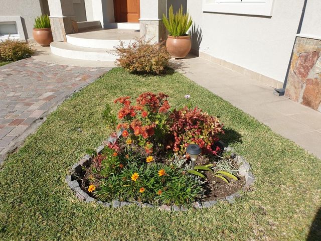 place photo 38