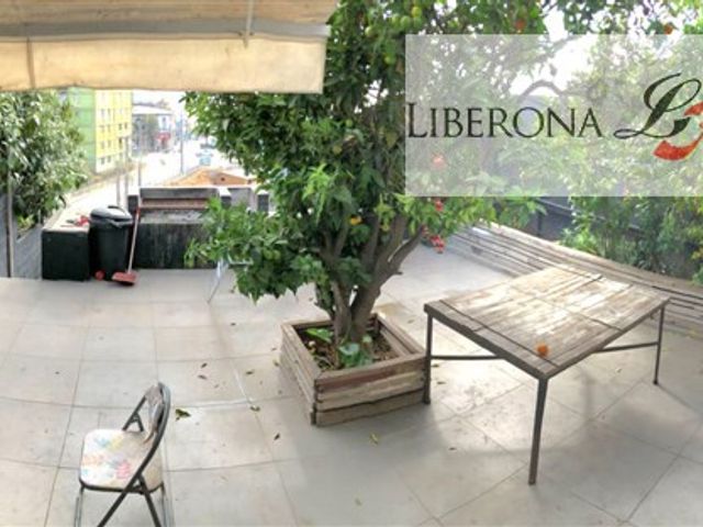 place photo 21