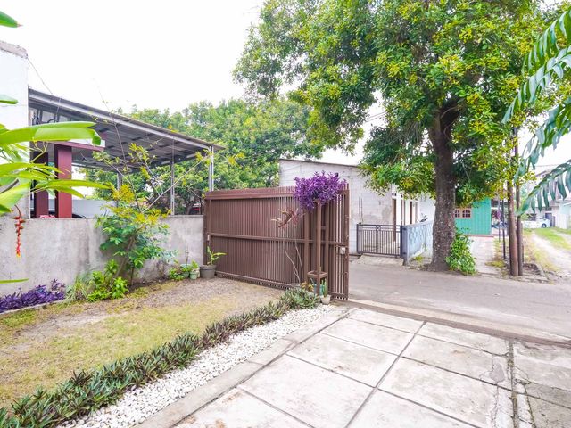 place photo 33