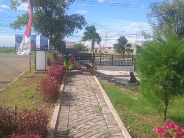 place photo 2