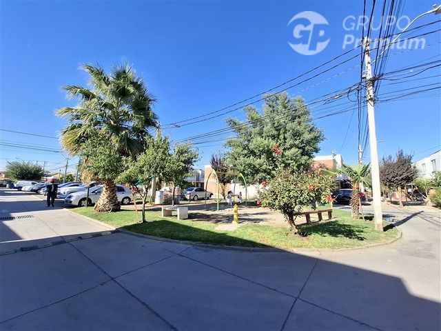 place photo 31