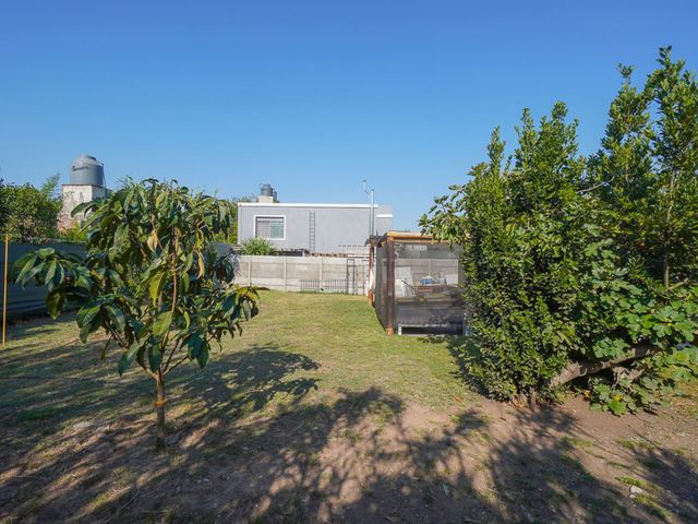 place photo 26