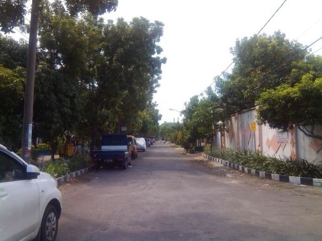place photo 5