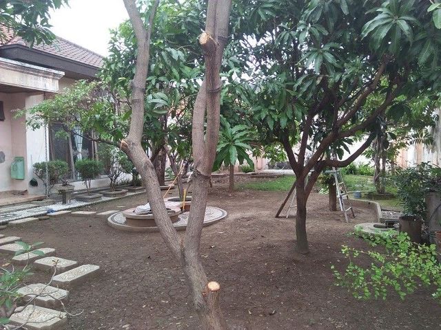 place photo 13