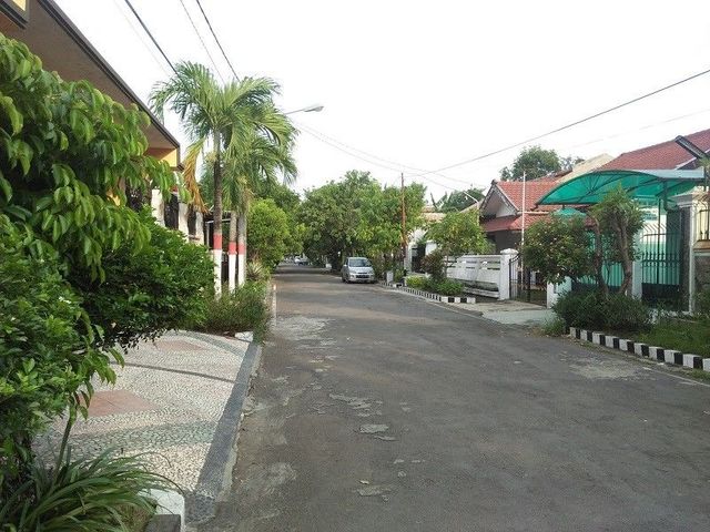 place photo 15