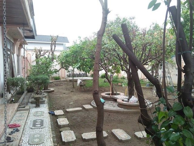 place photo 12