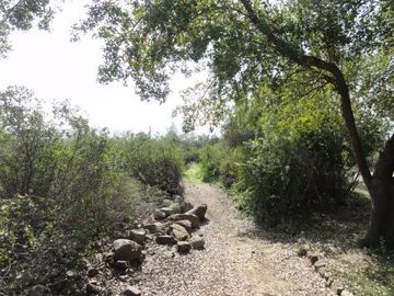 place photo 42