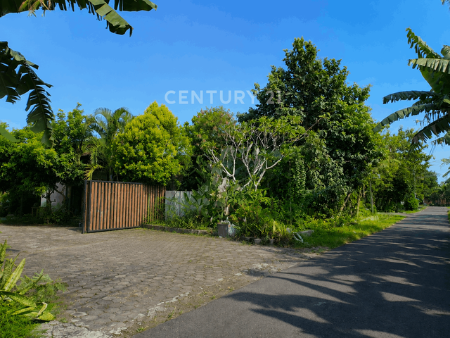 place photo 10