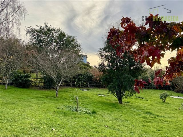 place photo 61