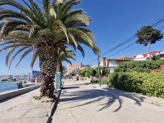 place photo 16