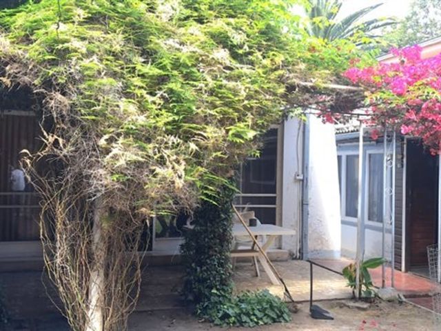 place photo 24
