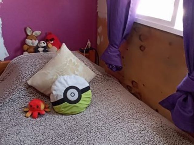 place photo 16