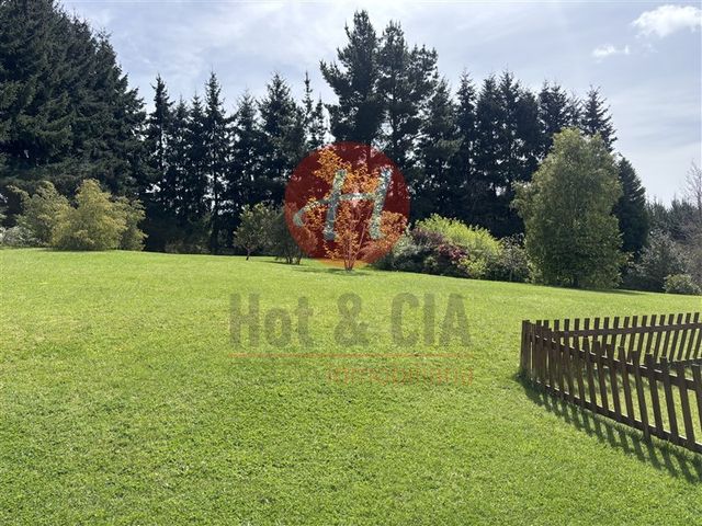 place photo 39