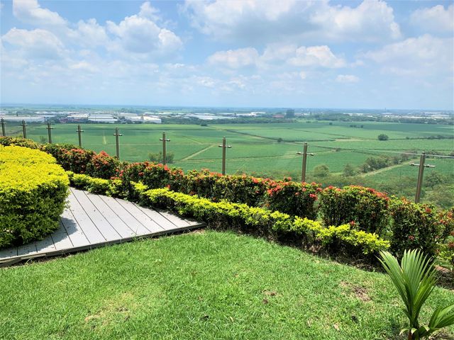 place photo 27