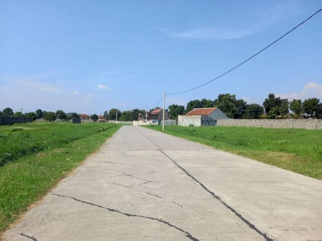 place photo 3