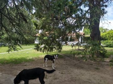 place photo 35