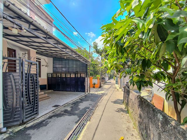 place photo 66