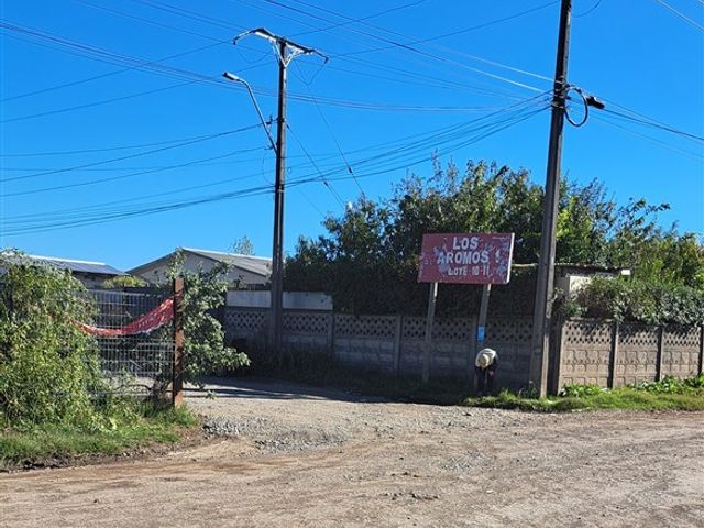 place photo 22