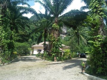 place photo 23