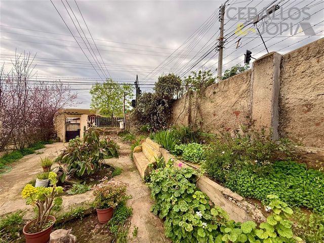 place photo 33