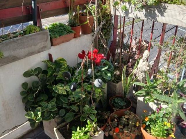 place photo 37