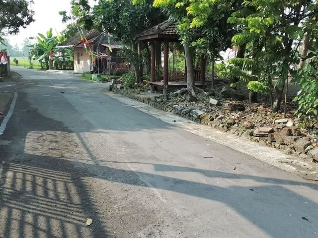 place photo 5