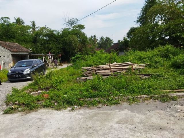 place photo 8