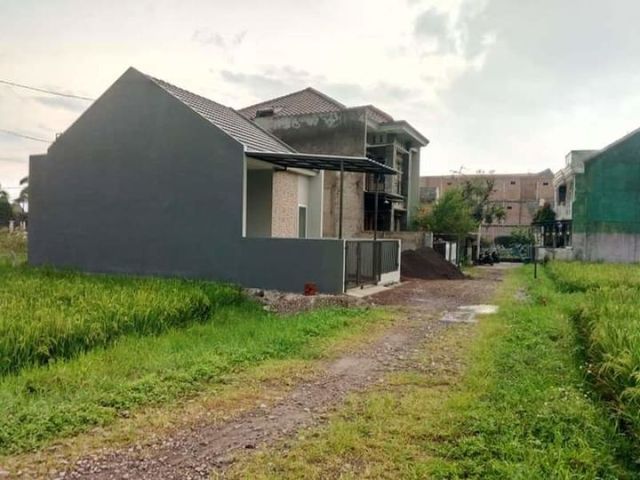place photo 6