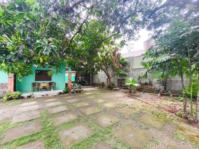 place photo 25