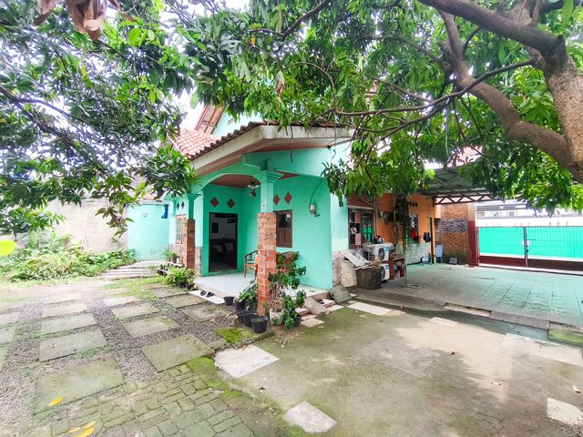 place photo 24