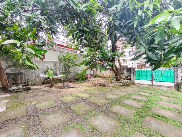 place photo 26