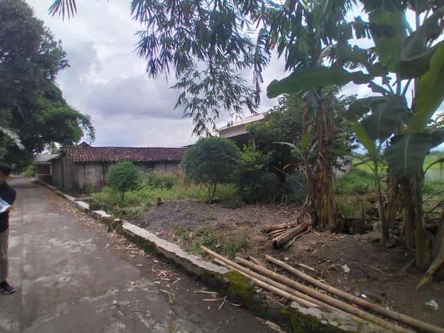 place photo 3