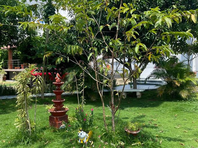 place photo 29
